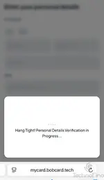 bob application screen shot.webp