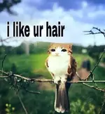 GynpQUhXEAAKnsV.webp
