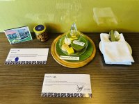 photo_2023-03-18 01.56.04.jpeg