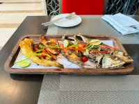 photo_2023-03-18 01.56.13.jpeg