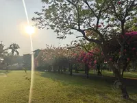 photo_2025-03-31_19-09-18 (2).webp