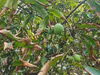 photo_2025-03-31_19-09-17 (4).webp