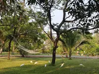 photo_2025-03-31_19-09-17 (3).webp