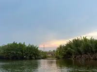 Sunset at Coconut forest