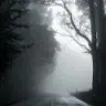 harsha_vardhan